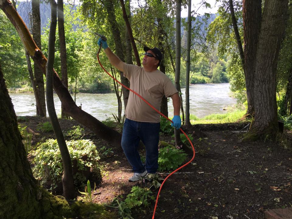 Pest control service