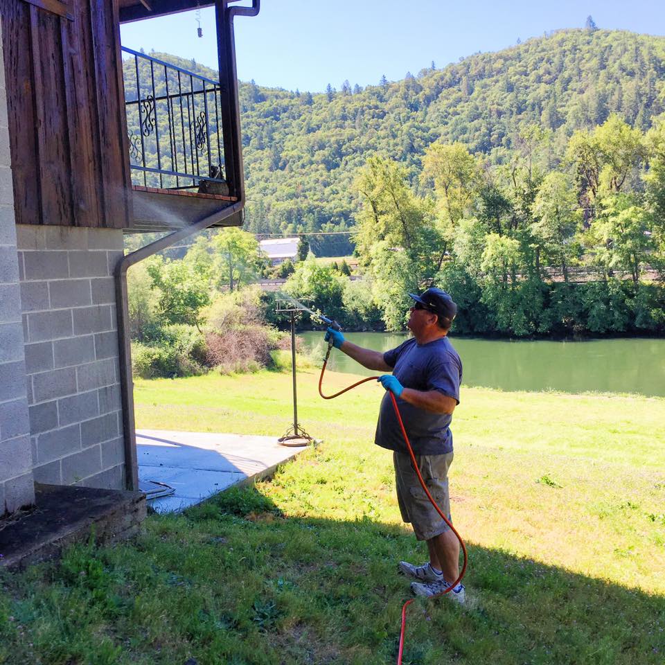 Pest control service