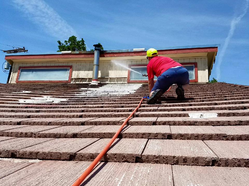 Pest control service