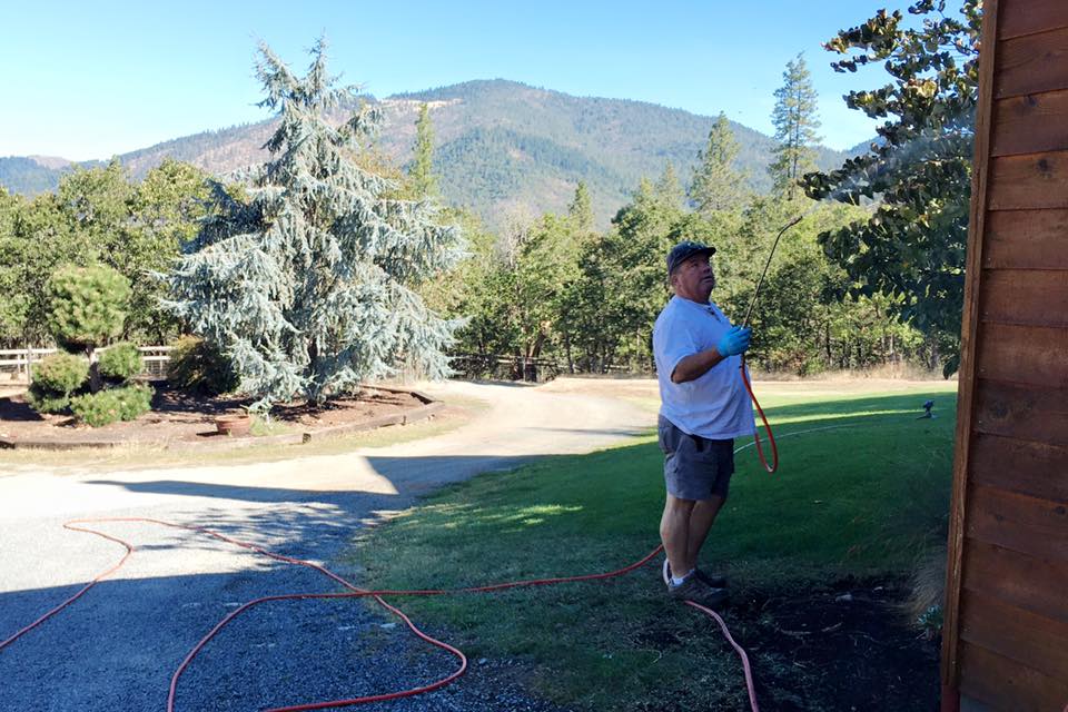 Pest control service