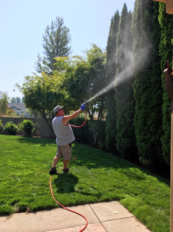 Pest control service