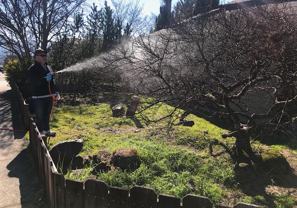 Pest control service