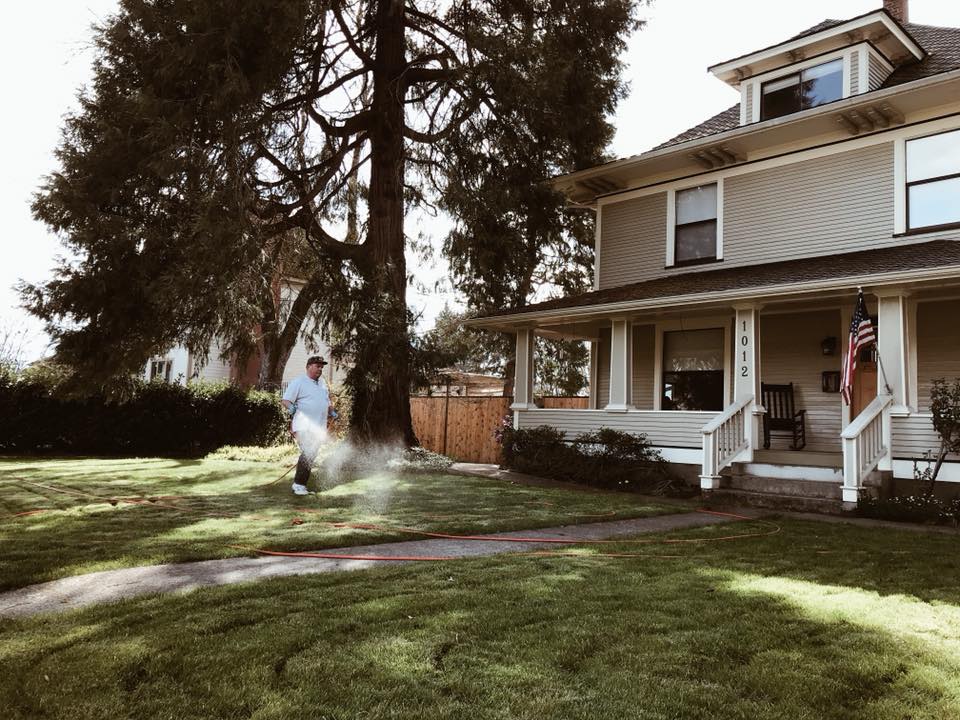 Pest control service