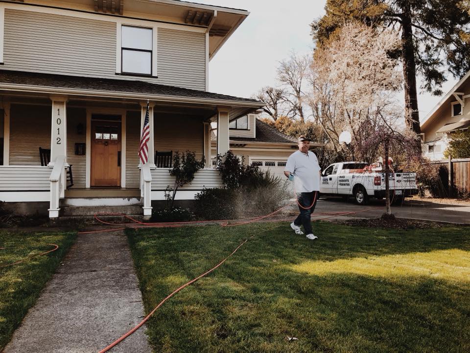 Pest control service