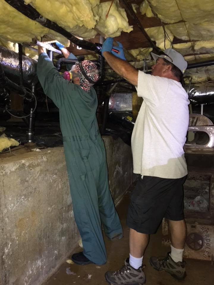 Pest control service