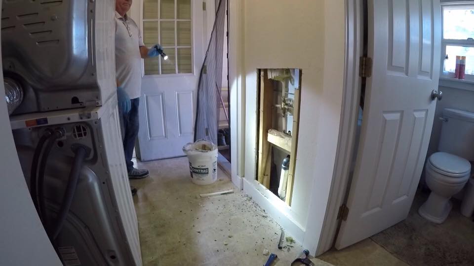 Pest control service