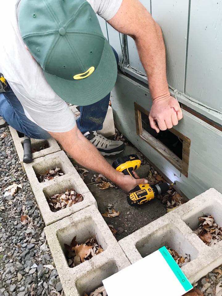 Pest control service