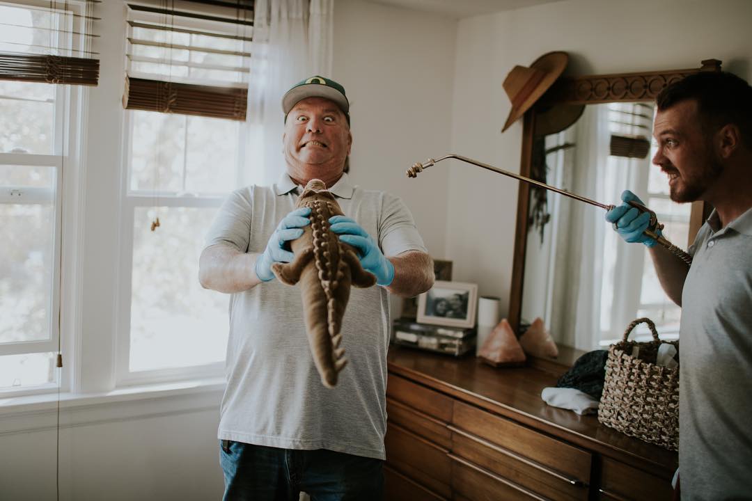 Pest control service