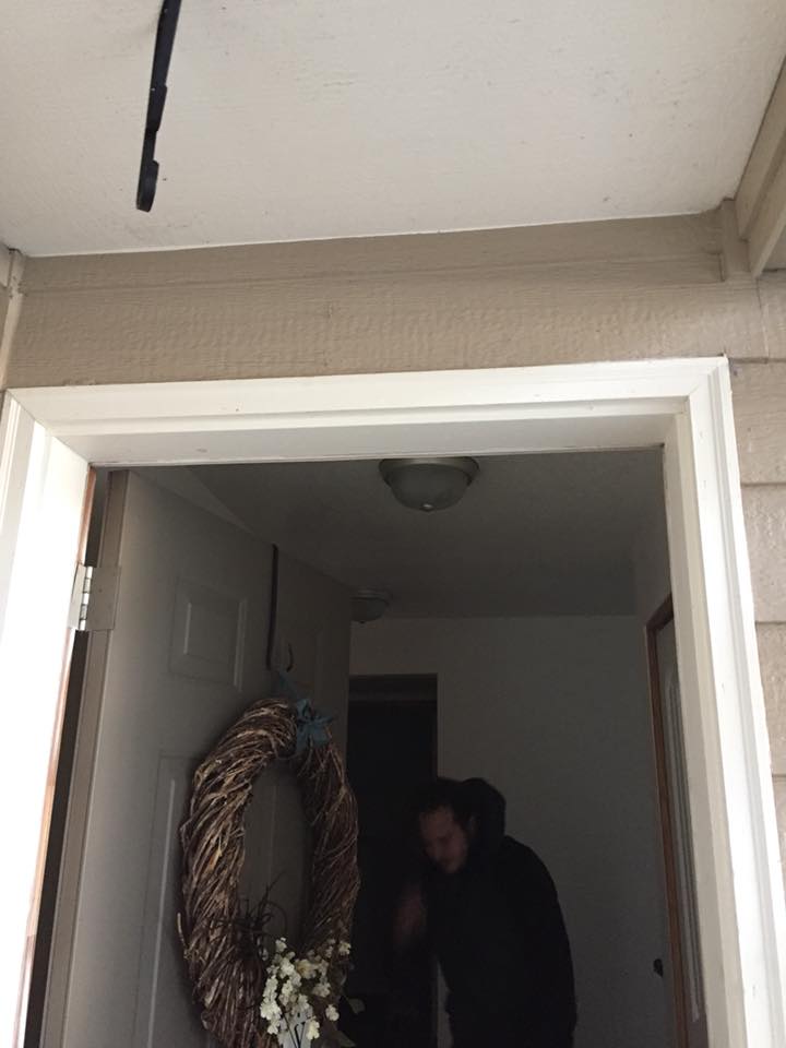 Pest control service