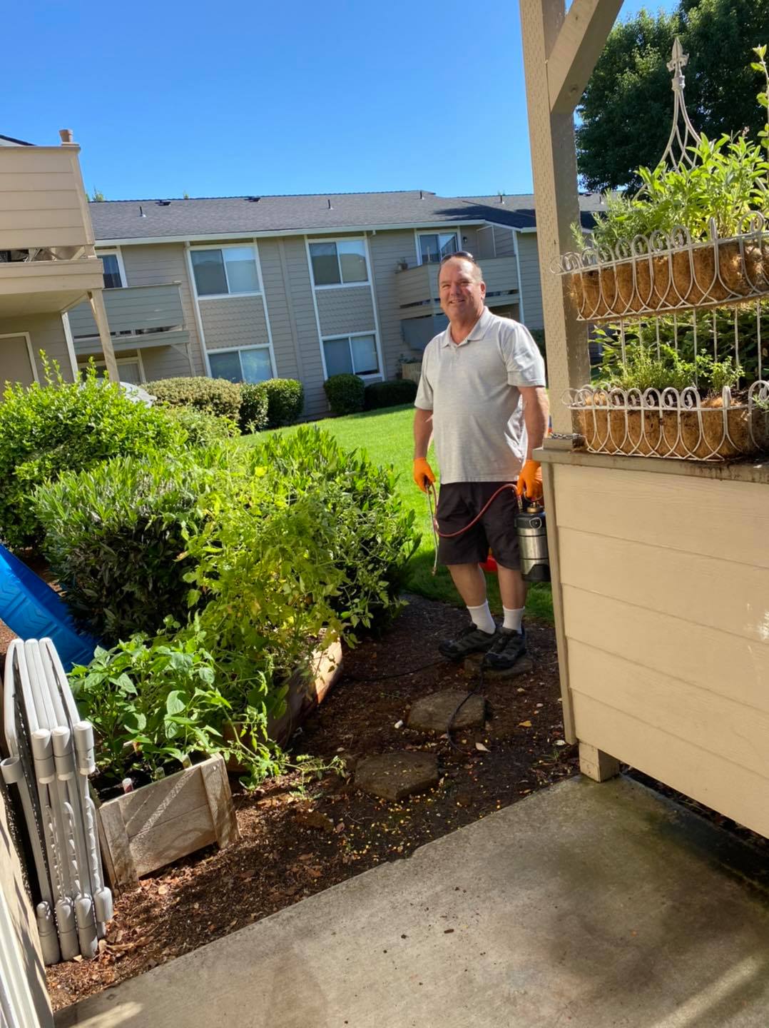 Pest control service