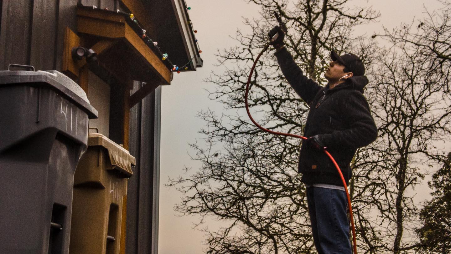 Pest control service