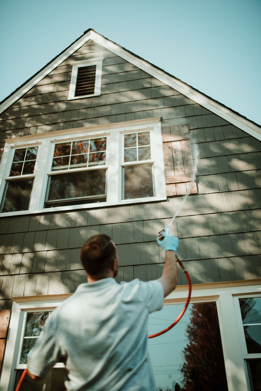 Pest control service