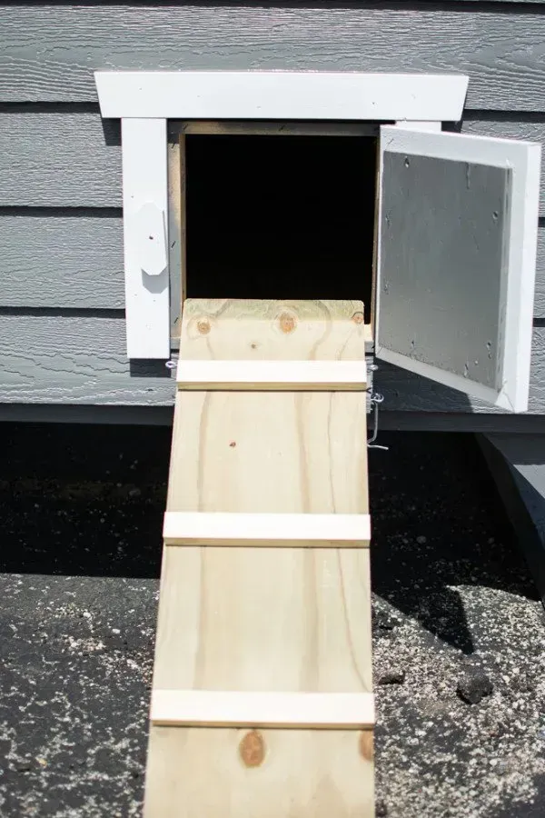 A wooden ramp leading to a chicken coop with the door open