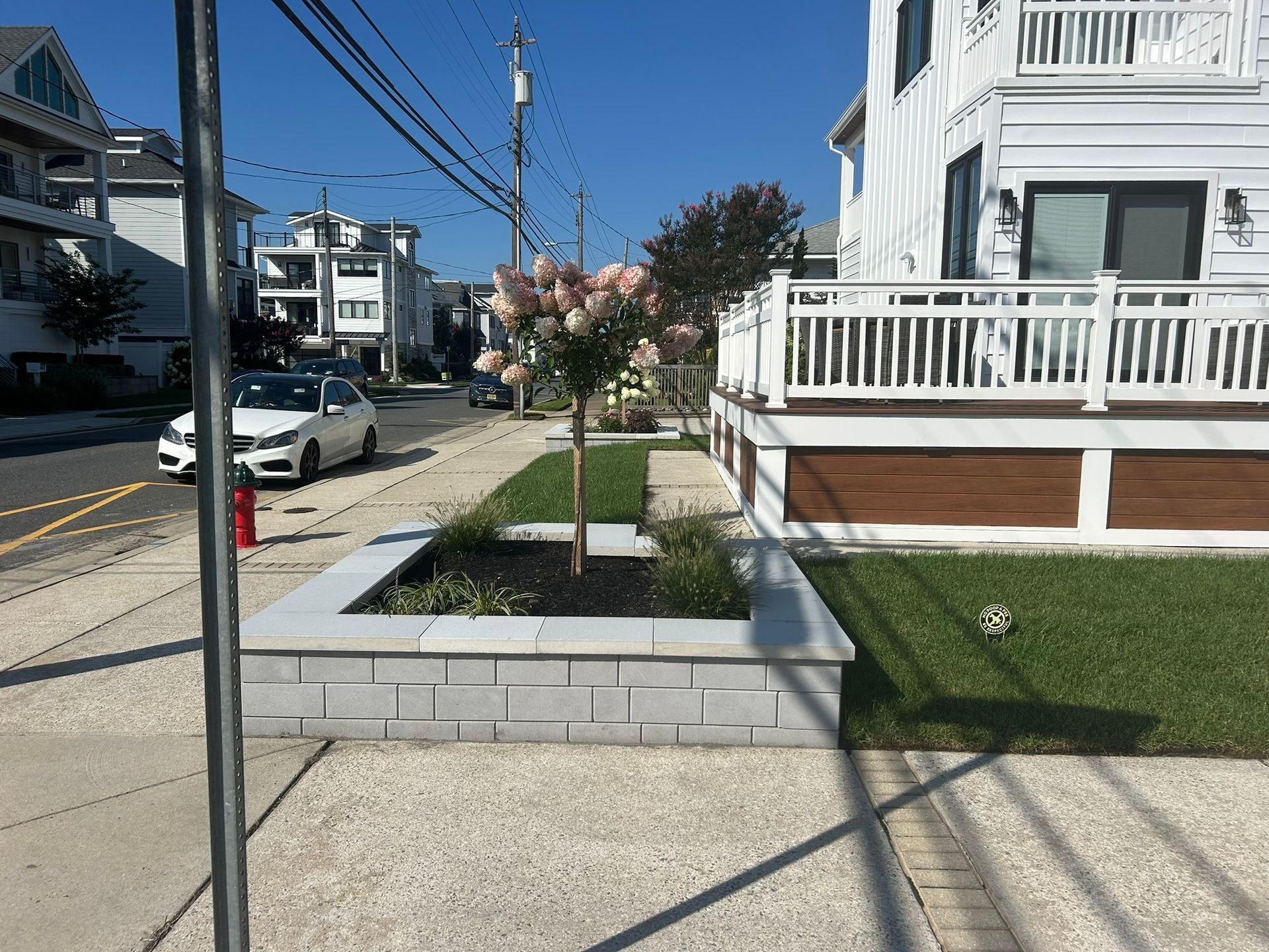 Small garden outside a white house with white fences next to a sidewalk.
