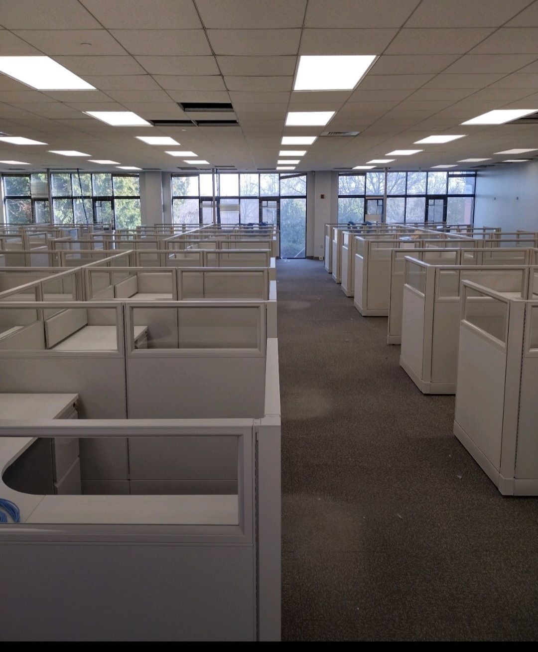 Empty office with rows of white cubicles and overhead fluorescent lights.