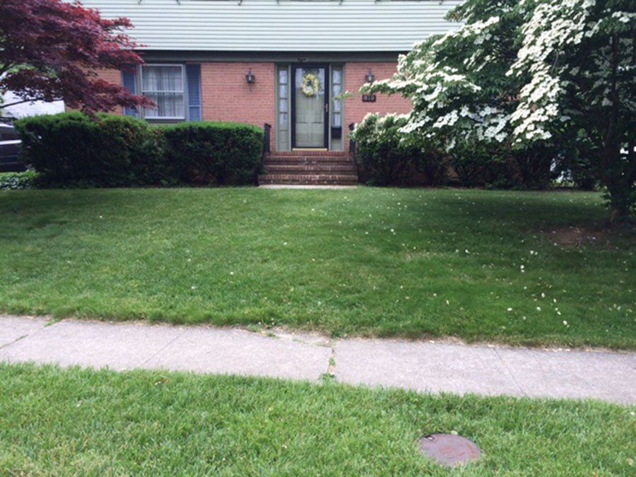 Stairs and steps installation services