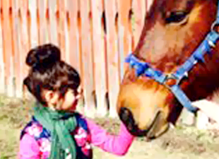 Kid and a Horse