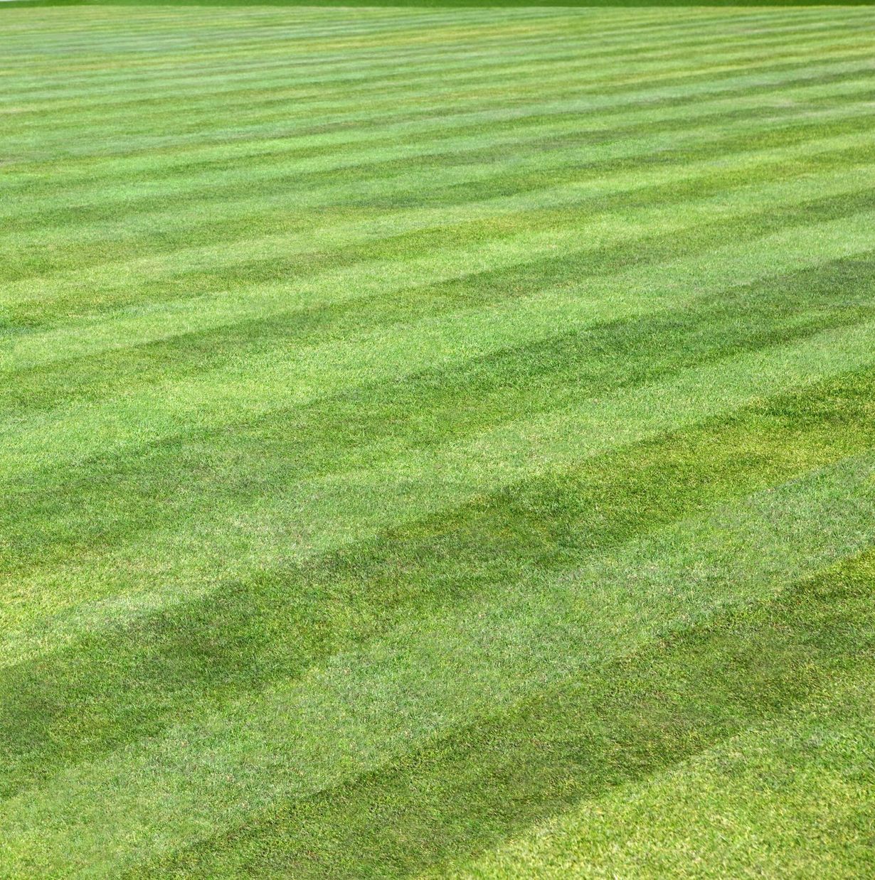 A freshly mown lawn with alternating light and dark green stripes stretching across the frame.