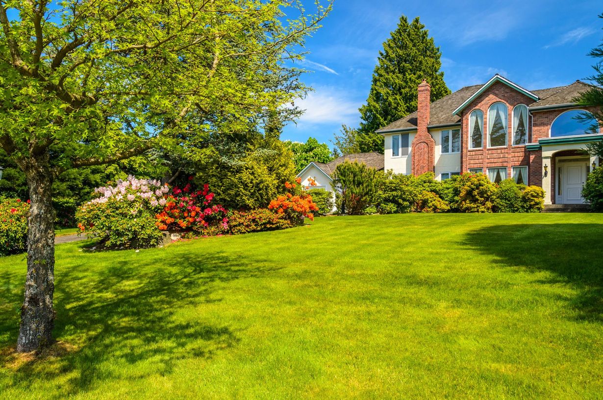 A brick house with a large, green front lawn, a vibrant garden, and a leafy tree under a bright blue sky.