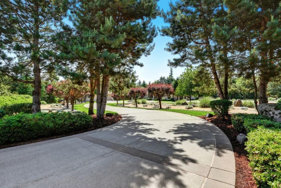 A concrete driveway surrounded by trees and bushes in a park.