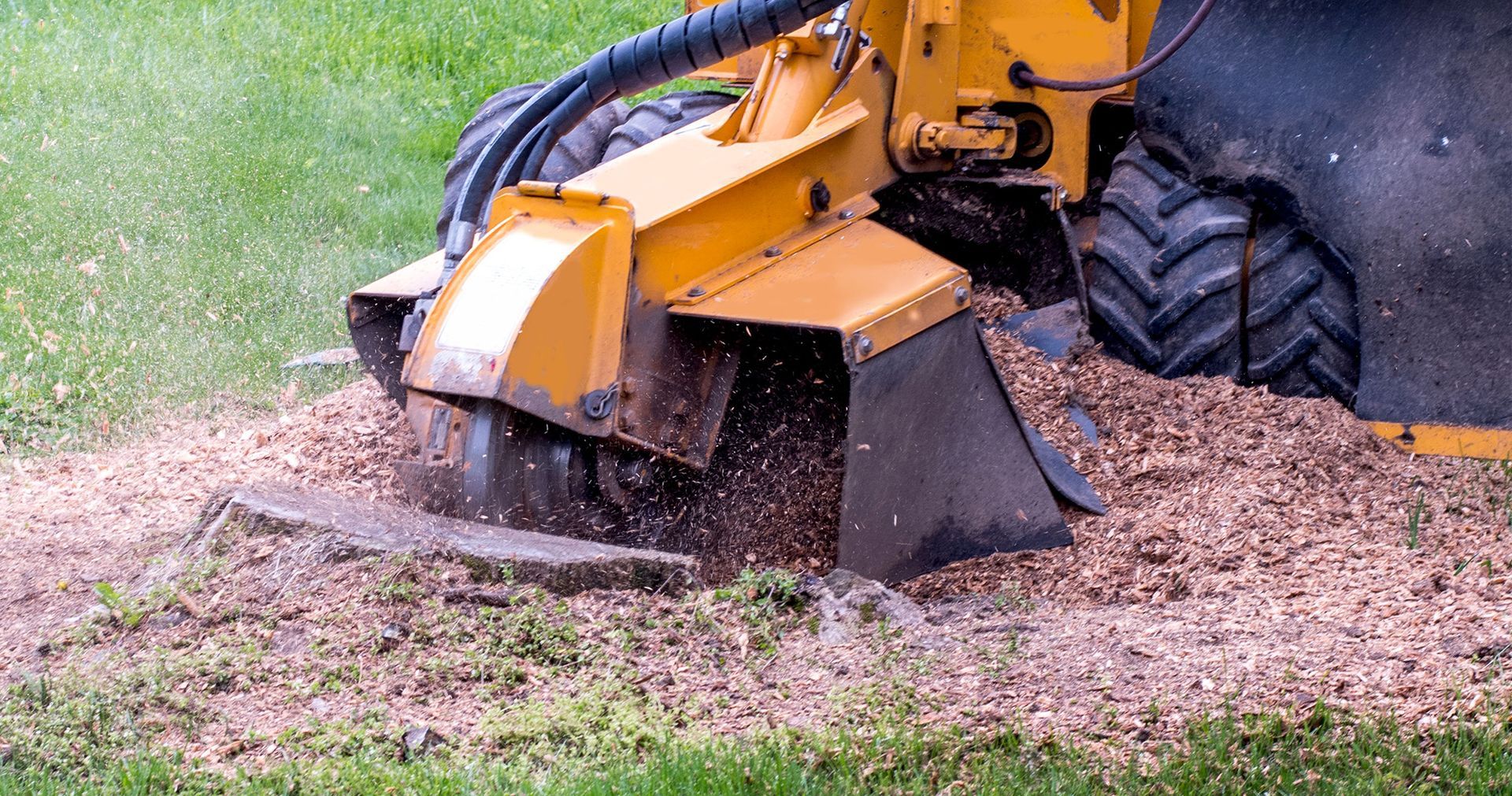 Stump grinding
