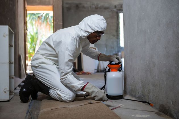 A person in a protective white suit kneels on a floor, spraying a chemical solution along a wall using a portable canister.