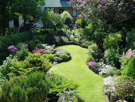 Lush garden path bordered by colorful flowers and shrubs under bright sunlight