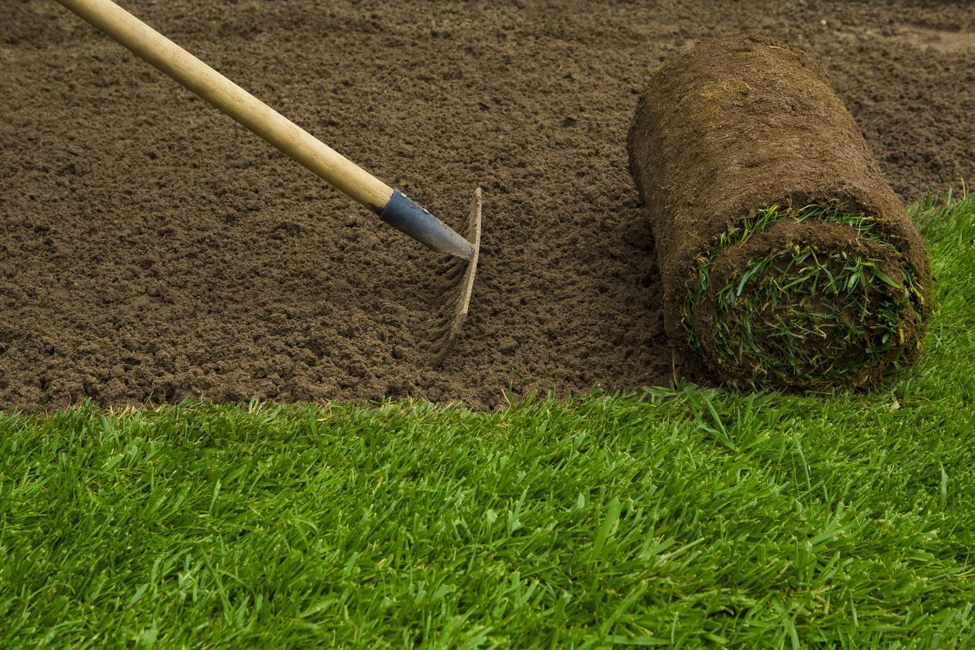 A rake levels dark soil beside a rolled strip of sod on a lawn, with fresh green grass at the bottom.