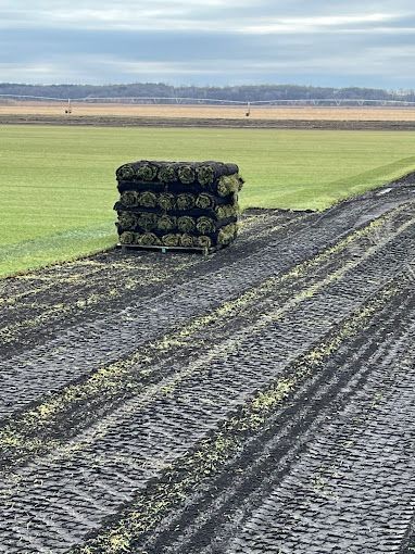 Stacked sod rolls on a field beside a muddy farm track under an overcast sky
