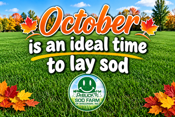October ad saying it’s an ideal time to lay sod, with green grass and autumn leaves