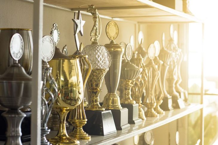 Gold and silver trophies on shelves, lit by sunlight.