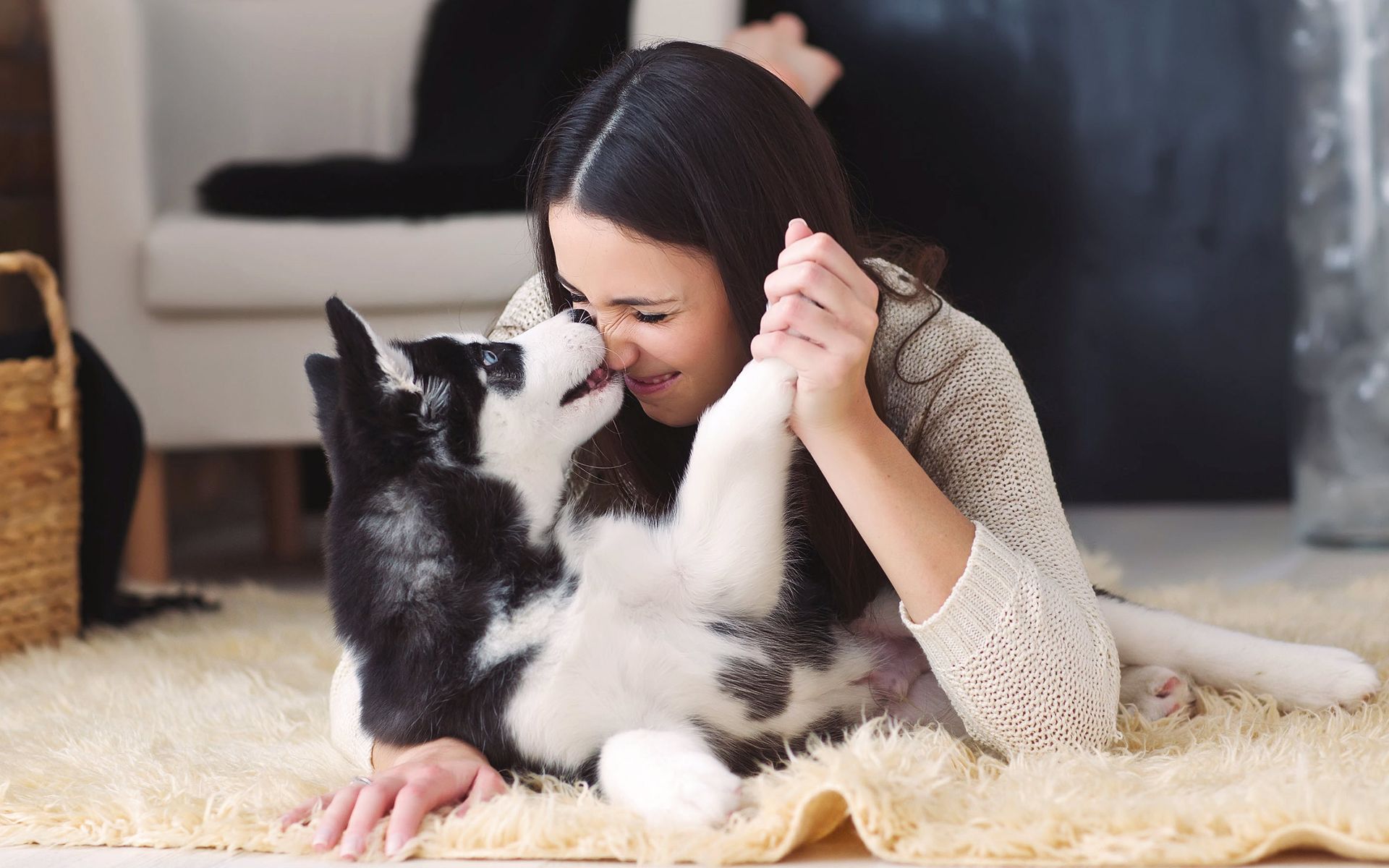 Veterinarian Arrowhead Animal Clinic Grand Rapids, MN