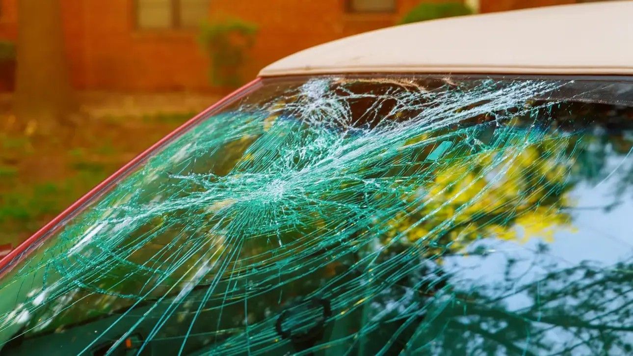 Car windshield covered in spiderweb cracks and shattered glass, reflecting trees and sky