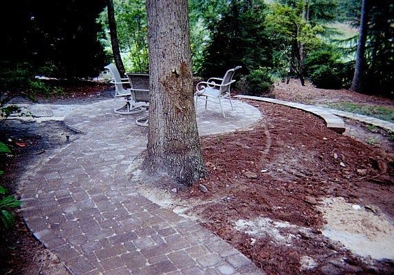 A patio with a tree in the middle of it