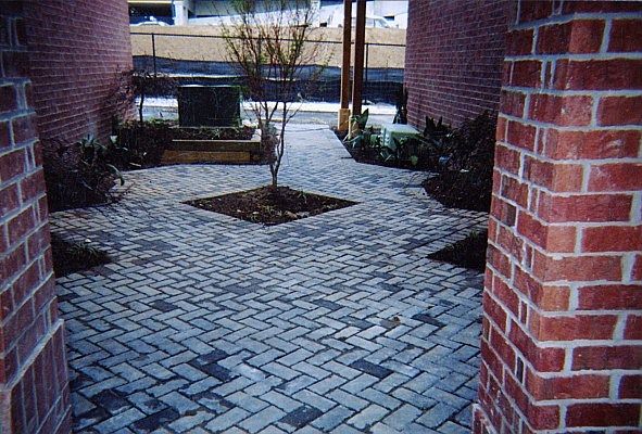 A brick walkway with a tree in the middle
