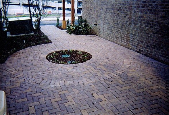 A brick walkway with a tree in the middle