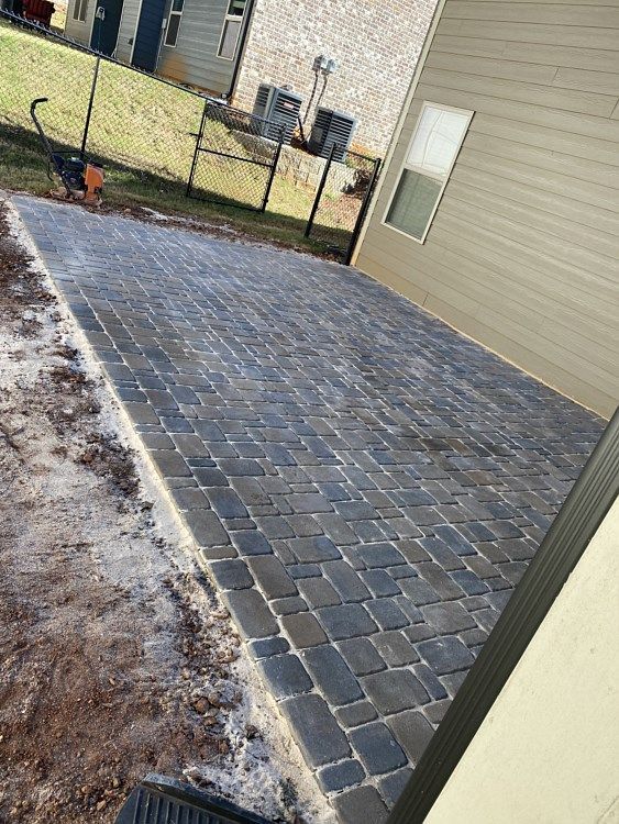 A dog is standing on a brick patio in front of a house.