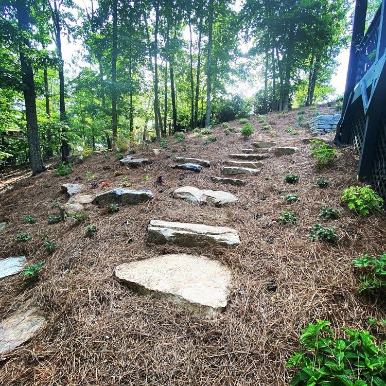 A staircase made of rocks is going up a hill in the woods.