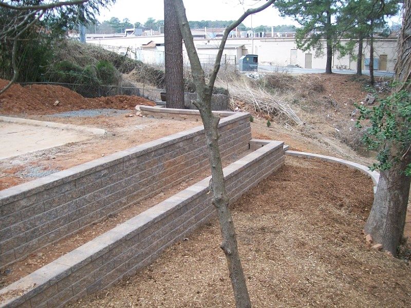 A tree is standing in front of a brick wall