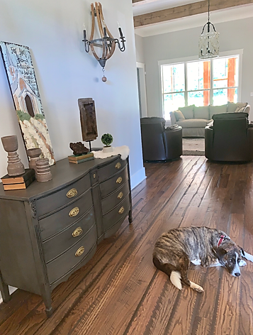 a dog is laying on the floor in a living room next to a dresser