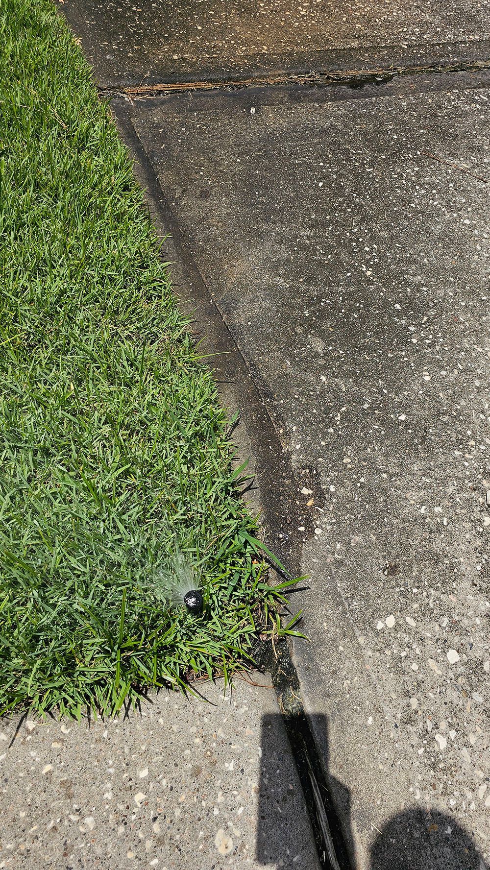 A person is spraying water on a sidewalk next to a lawn.