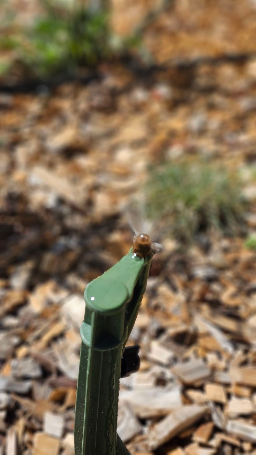 A snail is sitting on top of a green sprinkler.