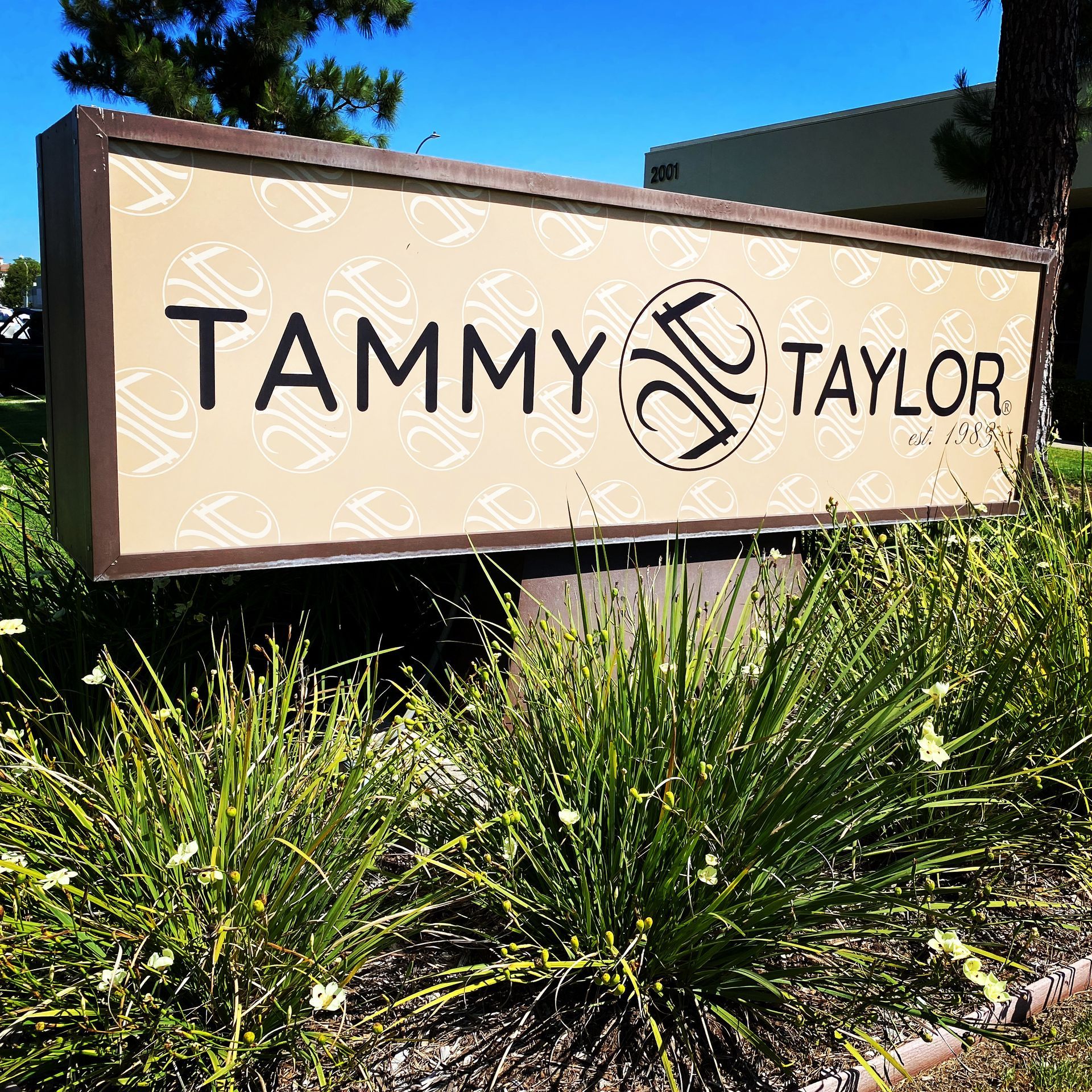 A tammy taylor sign is surrounded by tall grass