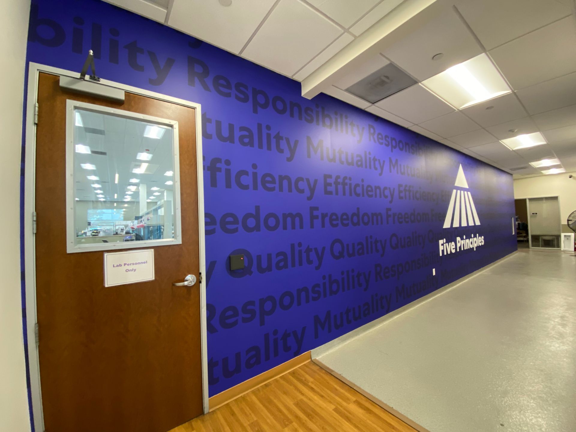 A hallway with a blue wall that says quality responsibility