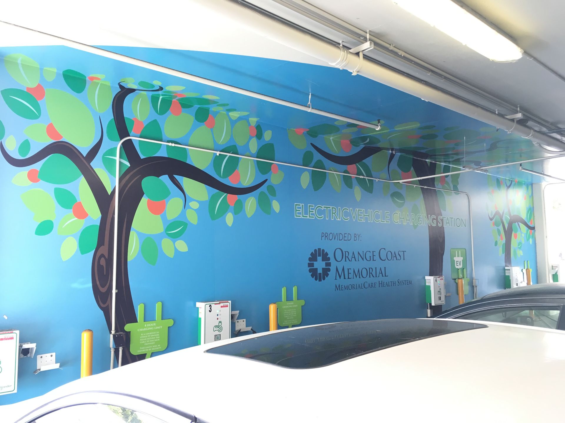 A car is parked in front of a wall with a tree on it