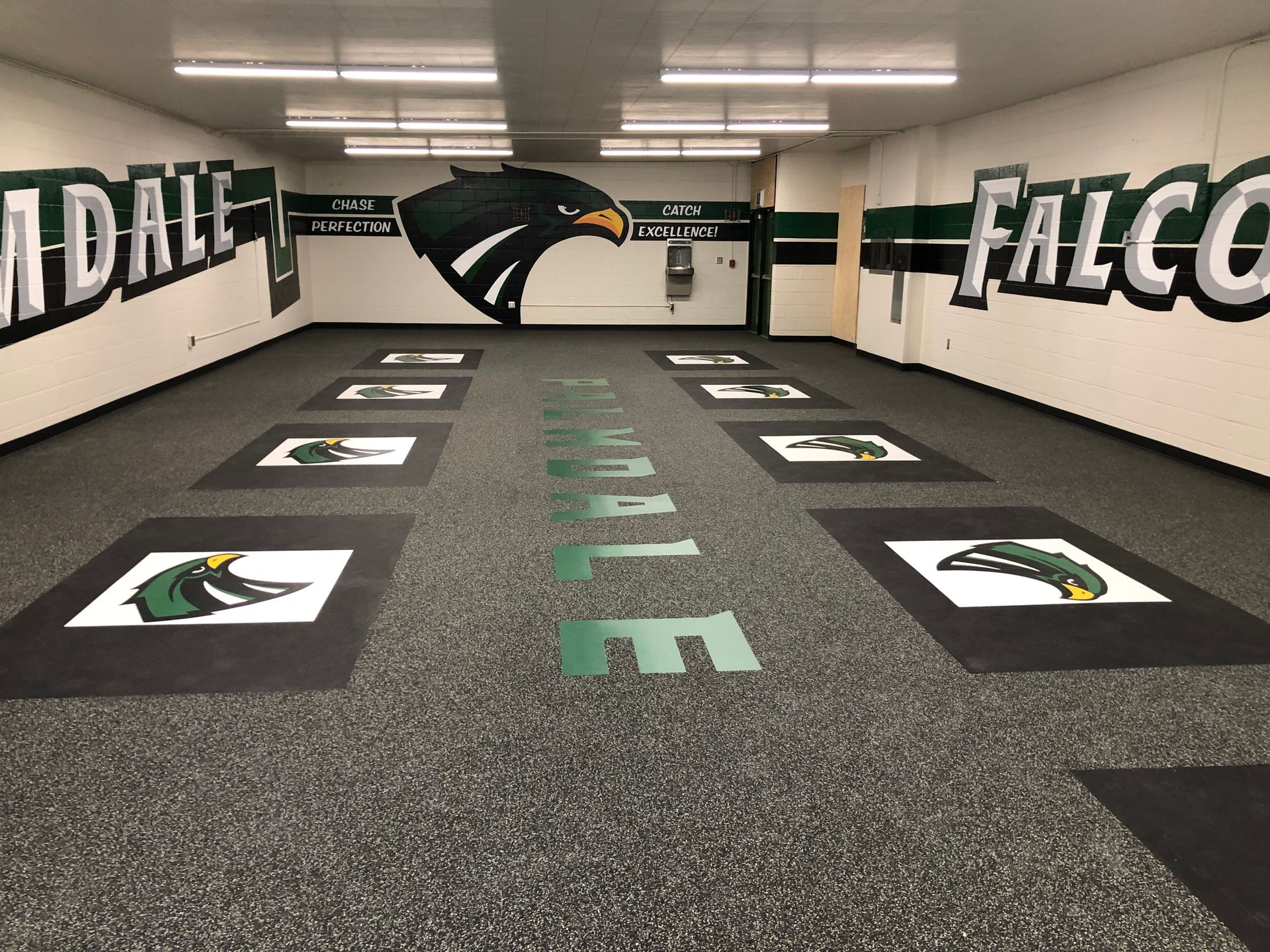 A large room with a falcon logo on the wall