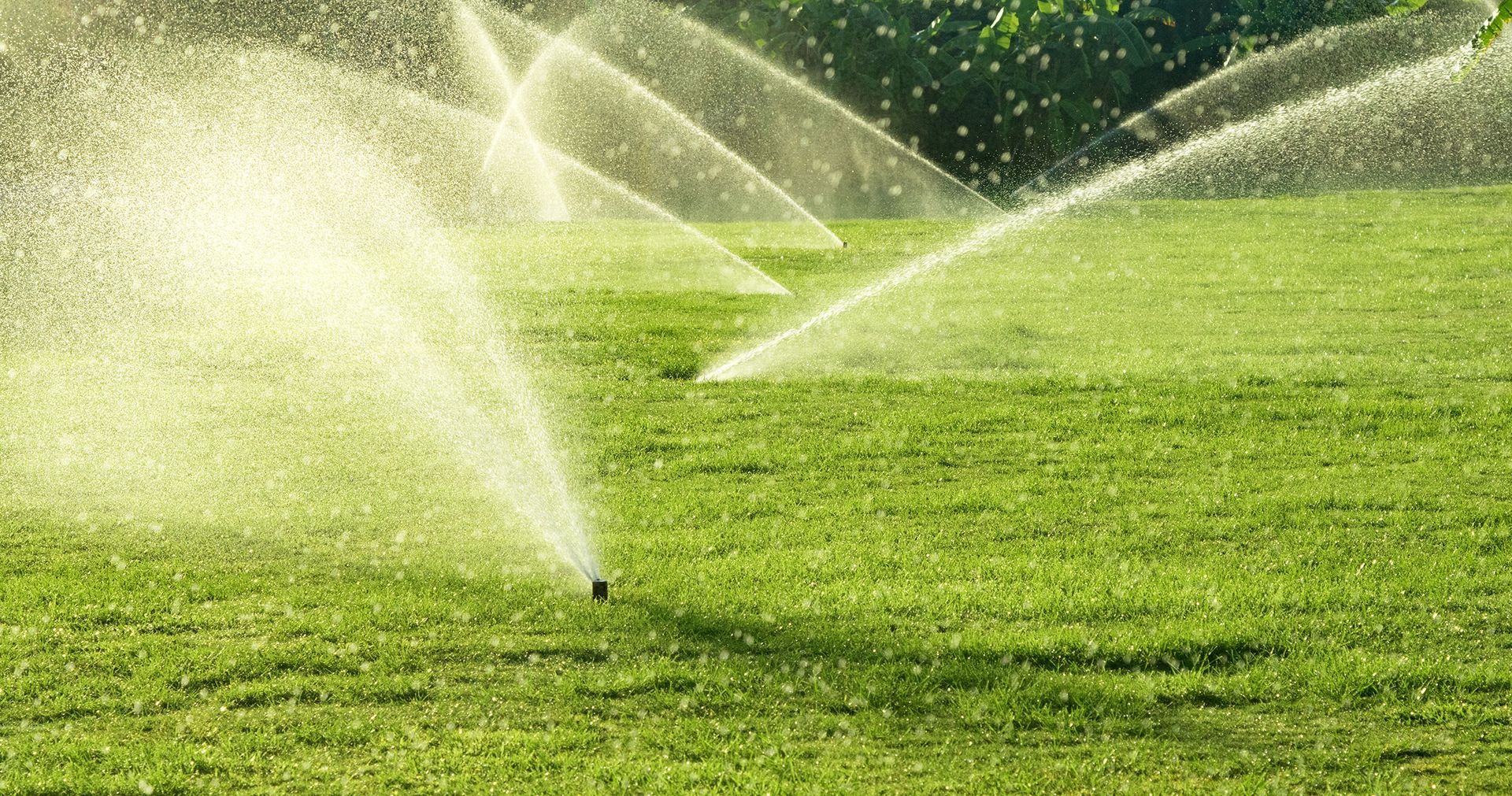 a row of sprinklers spraying water on a lush green field .