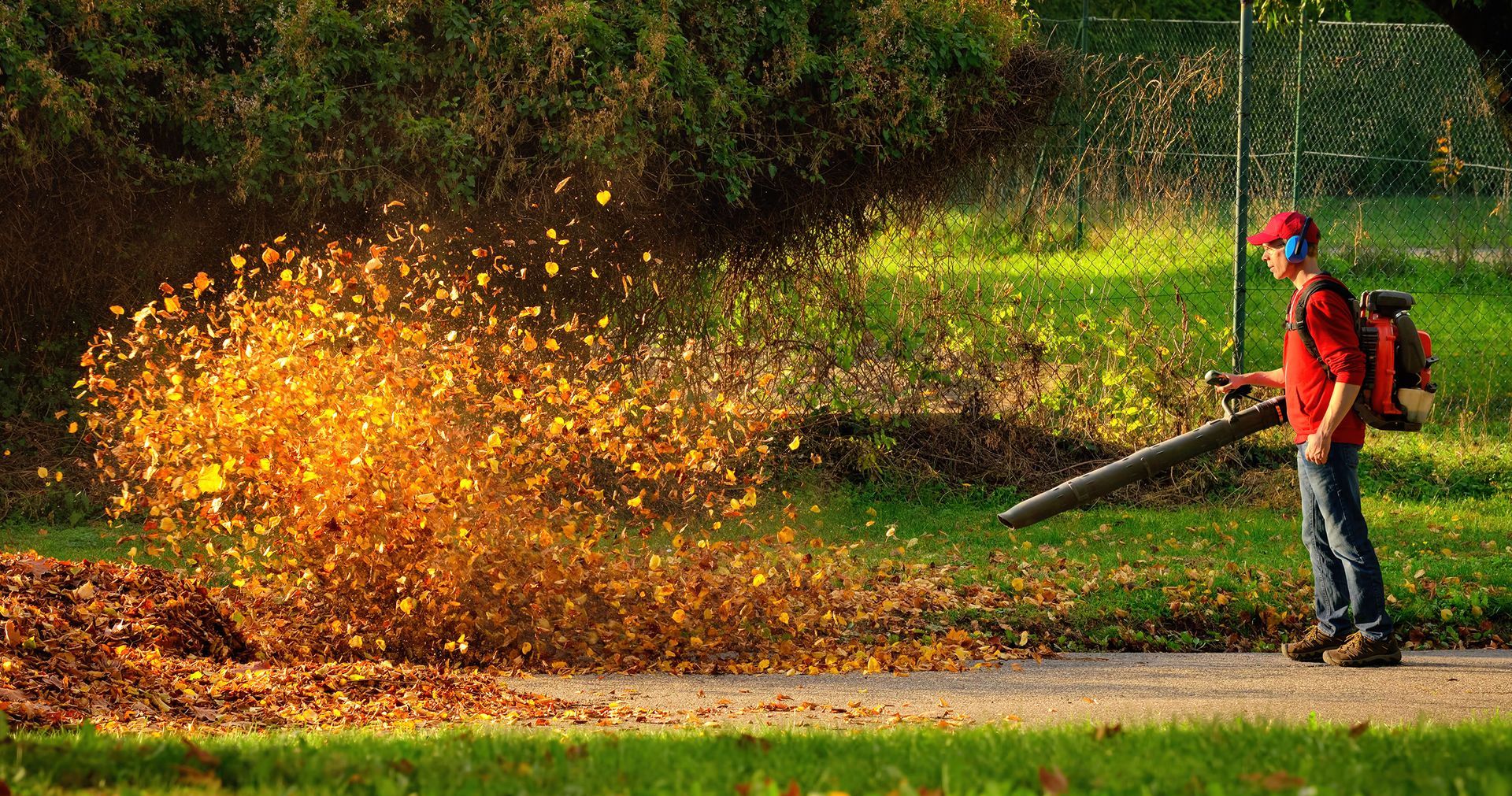 a man is blowing leaves in a park with a leaf blower .