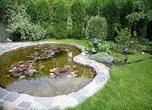 Relaxing ponds