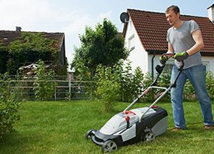 Yard cleaning services